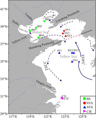 Early diagenesis and benthic fluxes of redox-sensitive metals in eastern China shelf sediments